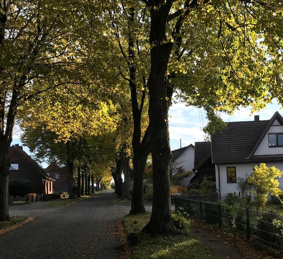 Ferienwohnung Am Holzfeld Schneverdingen Exterior foto